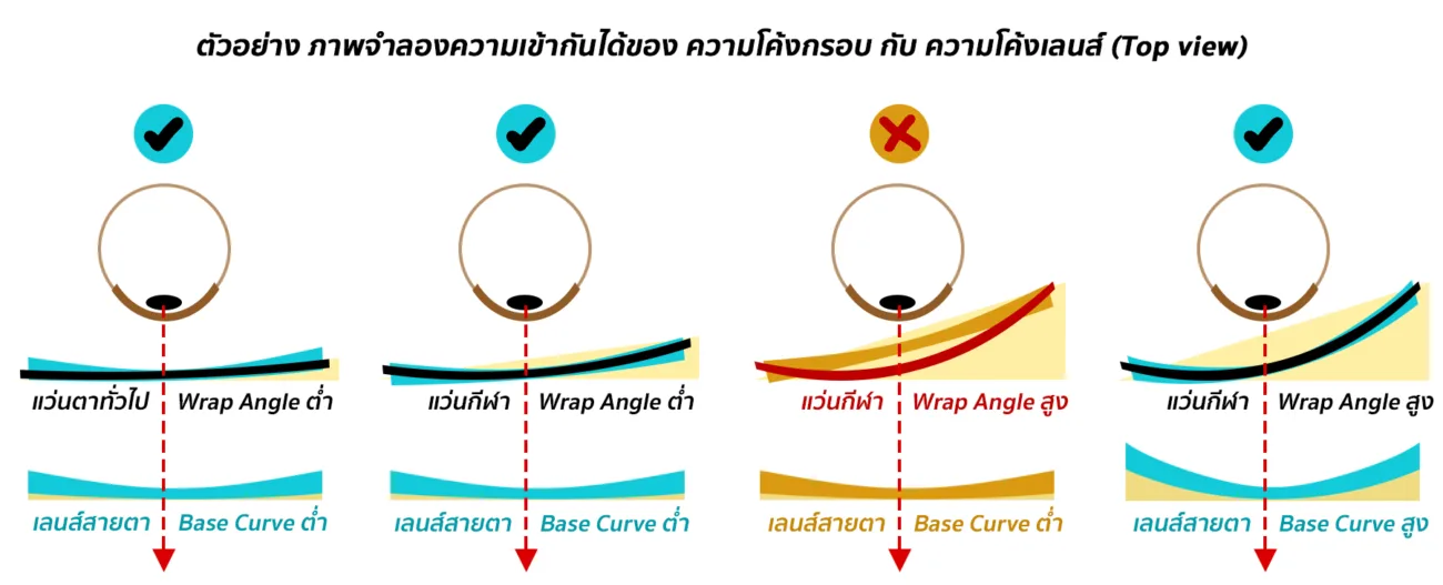 AXIV_Base Curve_Wrap Angle